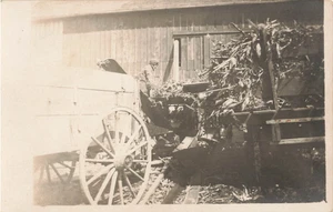 Vintage RPPC Landwirtschaft Foto Postkarte - Bild 1 von 2