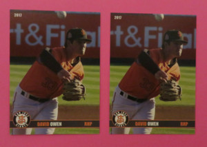 2 - 2017 Grandstand, San Jose Giants - DAVID OWEN