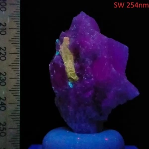 Phlogopite Mica & Diopside in Calcite short wave fluorescent Franklin 126ct - Picture 1 of 8