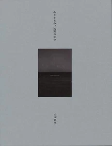 [New edition] Masao Yamamoto Small things, in silence - Picture 1 of 9
