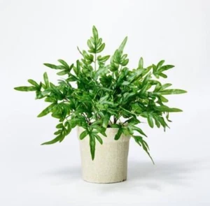 Faux Ribbon Fern 13”H Potted Plant - Threshold designed with Studio McGee - Picture 1 of 5