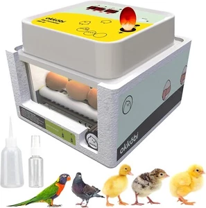 Incubadora De Huevos Automática Para Huevos De Pato Gallina Codorniz 12 Huevos - Imagen 1 de 8