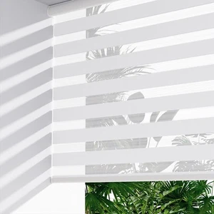 Cordless Dual Layer Zebra Blinds for Windows, Light Filtering Privacy Roller ... - Picture 1 of 6