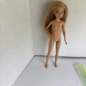 Barbie Stacie 9 Zoll Puppe Schwester von Barbie gebraucht kann muffig riechen gebraucht - Bild 1 von 11