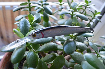 5X TAKE Wobbler Jerkbait Trolling Deep Schlepp Crankbait  Hecht 12cm, 15,8gr - Bild 1 von 4