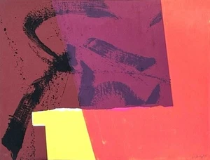 HIMHOFF  BERTRAND MEYER    SERIGRAPHIE - Picture 1 of 1