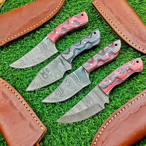 4 Pcs Damascus Blade Skinner Knives Set | 6" | Hard Wood, Leather Sheath IT-1717 - Picture 1 of 8