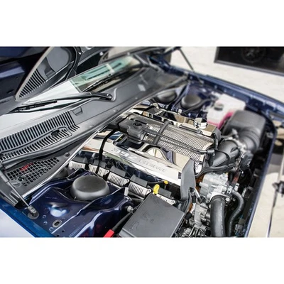 Cubiertas de riel negro cepillado "392 HEMI" incrustación para 15-16 Challenger/Cargador/300 6,4 L Foto 1 de 3