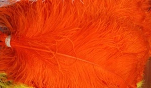 Orange Ostrich Feathers 10-12 inch 12 Pieces(GA, USA) - Picture 1 of 2