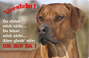 Rhodesian RIDGEBACK - A4 Alu Warnschild Hundeschild SCHILD Türschild - RRB 35 T2 - Bild 1 von 2