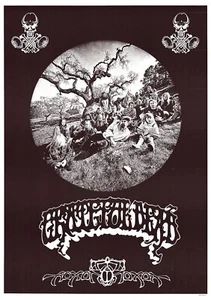 Vintage Grateful Dead Aoxomoxoa gedruckt in EWG Poster 35 x 24 - Bild 1 von 3