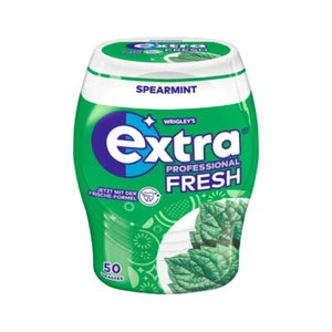 Wrigleys Extra Professional Minze ohne Zucker 50 Dragees 70g - Picture 1 of 1