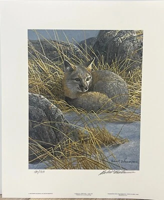 Коллекционная редкая койот Robert BATEMAN Curled Up Swift Fox Art подписанная печать ограниченное издание - Изображение 1 из 4