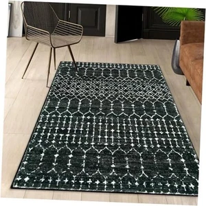 Moroccan Black Area Rug for Living Room - 3x5 Non-Slip Washable Stain - Picture 1 of 7