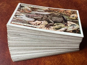 John Players Cigarette Cards Full Set of 50 - Natural History 1924...Free UK P&P - Picture 1 of 5