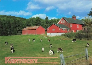 Cattle & Scheunen, Kentucky Farmland übergroß Vintage Chrom PC Veröffentlicht 1994 - Bild 1 von 2