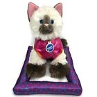 Build A Bear Promise Pets Siamese Himalayan Kitty Cat Outfit Bed Plush Animal