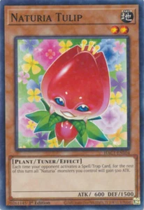 YGO-3x-Near Mint-Naturia Tulip - HAC1-EN104 - Common - 1st Edition (Duel Termina - Picture 1 of 1