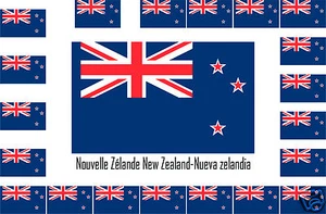Assortiment 25 autocollants Vinyle sticker drapeau Nouvelle-Zélande-New-Zealand - Foto 1 di 1