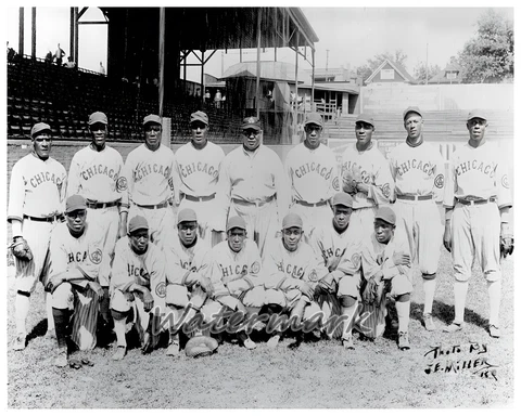 Negro National League 1920 Chicago American Giants Team Picture 8 X 10 Photo Pic Cover