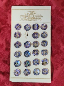 Antique Hand Painted MOP Buttons Original Card French Victorian Shell Excelsior - Picture 1 of 7