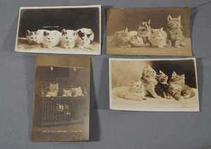 Lot 4 Vintage RPPC Echt Foto Katze Postkarte Kätzchen - Bild 1 von 11