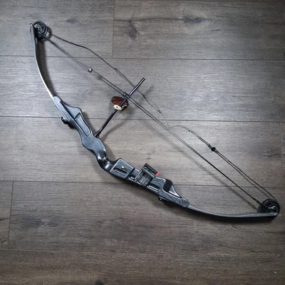Ben Pearson 'Flame' Compound Bow with Hard Case, Arrows, and More - Image 1 of 4