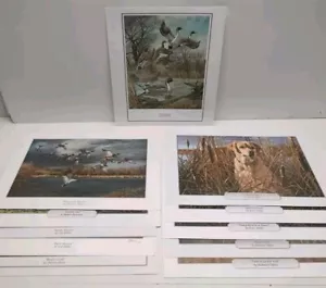 11 Assorted Water Fowl and Hunting Themed Prints by Various Artists Ducks & Dogs - Picture 1 of 12