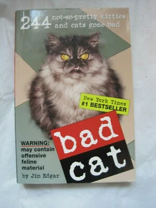 Bad Cat~244 not-so-pretty kitties and cats gone bad~Feline Kitten~PET~LBDDL - Picture 1 of 4