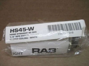 RAB HS45-W White Hang Straight 45 Deg 1/2in NPS Swivel Mount Sloped Ceiling - Picture 1 of 8