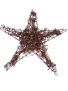 Pottery Barn Weihnachten Stern Kranz rote Beeren Vintage primitive Holiday 24"W - Bild 1 von 5