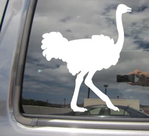 Ostrich Bird - Flightless Car Laptop Bumper Window Vinyl Decal Sticker 01451 - Picture 1 of 2