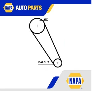 Timing Belt & Water Pump Kit fits AUDI A6 C7, C8 1.8 2.0 2014 on Set Gates New - Picture 1 of 3