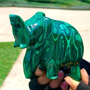 467G Cristal de Malaquita Natural Brillante Tallado a Mano Elefante Muestra Mineral - Imagen 1 de 24