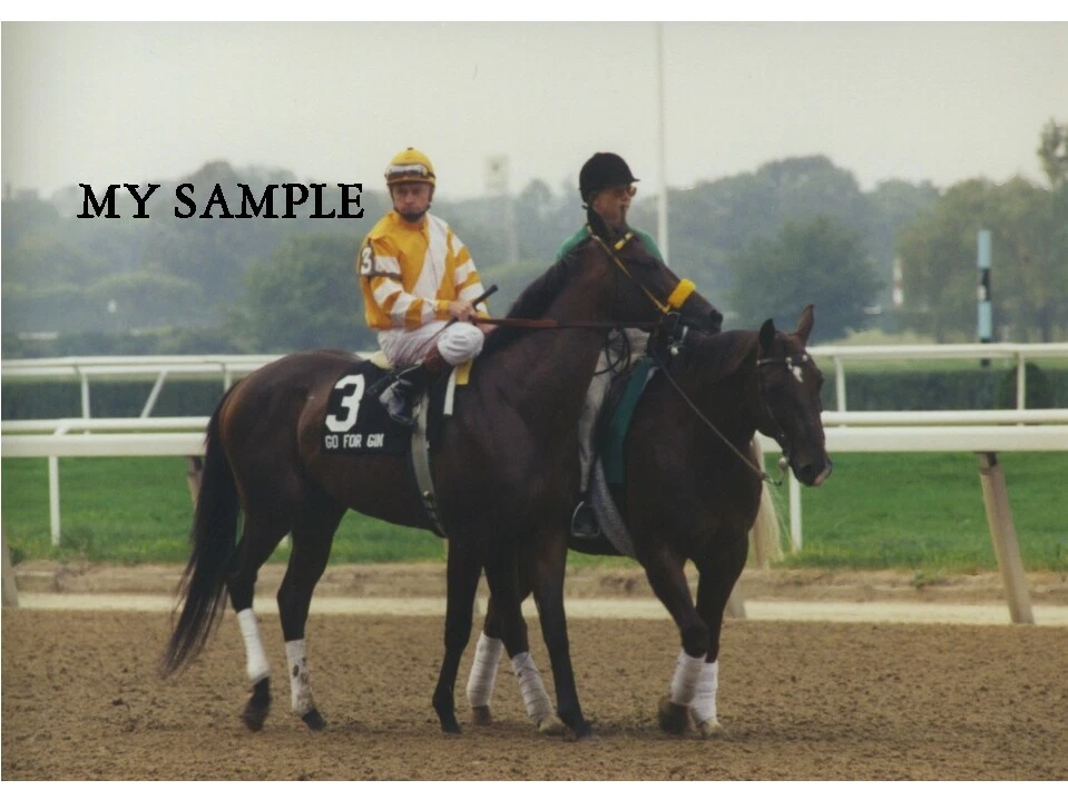 FOTO DE CABALLO RARA VINTAGE GO FOR GINEBRA 1994 WOODWARD STAKES BELMONT PARK 8" X 10" Foto 1 de 1