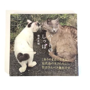 Heart no Shippo Cat Photo Essay Book by Mitsuaki Iwago From Japan Kawaii Neko - Picture 1 of 13