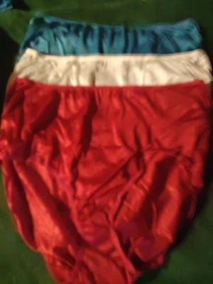 3 Pair Size 10 vintage fruit of the loom Brief 100% nylon panties Silky Soft - Image 1 of 3