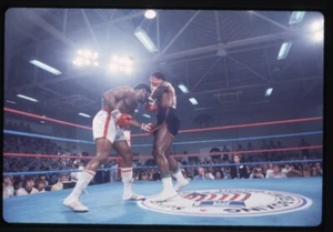 1970's Boxers Punching Fighting in Ring Original 35mm Transparency ABC Stamped - Picture 1 of 1