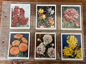 Will's Cigarette Cards Full Set of L40 - Garden Flowers New Varieties Series 1 - Picture 1 of 14