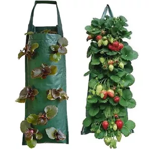 Multi-function Hanging Strawberry Grow Bag Planter Pots for Indoor Outdoor - Picture 1 of 12