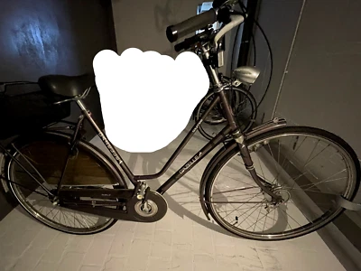 GAZELLE Hollandrad *28 Zoll*braun*tiefer Einstieg*Rücktritt*Tournee 44-2 - Bild 1 von 4