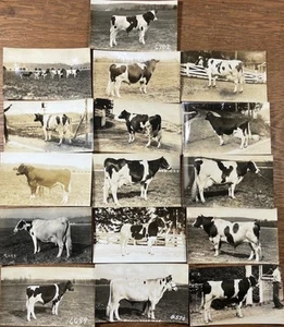 Landwirtschaft / 30er Jahre kleines Archiv Milchvieh Geschäftskorrespondenz 1933 - Bild 1 von 4