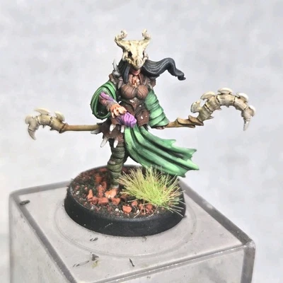 Juego de rol pintado D&D Dungeons & Dragons Pathfinder 28 mm fantasía hembra druida brujo Foto 1 de 4