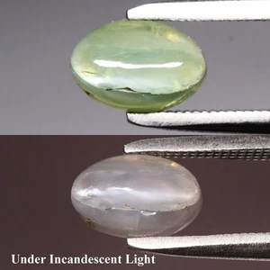 💎 1.46ct Oval Cabochon Natural Green Cat's Eye Alexandrite - Russia Gemstone - Picture 1 of 6
