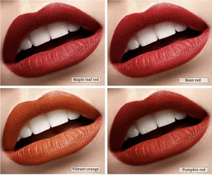 Makeup Lipstick Set Lip Stain Tint Gloss Waterproof Matte Long Lasting No Smudge - Picture 1 of 11