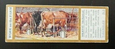 WORK ON THE FARM ,MILKING (MECHANICAL)  1933  TYPHOO TEA VINTAGE TRADE  CARD - Image 1 of 2