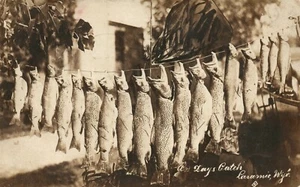 LARAMIE WYO FISHING CATCH ANTIQUE 1922 REAL PHOTO POSTCARD RPPC w/ CORK CANCEL - Picture 1 of 2