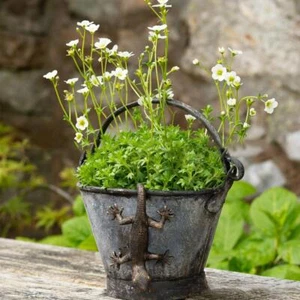 Colgante adornos de gecko de latón antiguo para parejas decoración de jardín. - Imagen 1 de 11