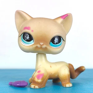 Original Littlest Pet Shop #816 Kurzhaar Katze / Original Hasbro LPS - Bild 1 von 4