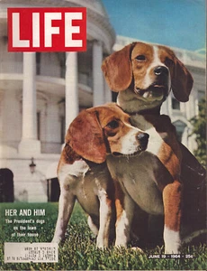 D1 LIFE Magazine June 1964 LBJ President Johnson Beagles Goldwater Vtg Print Ad - Foto 1 di 5